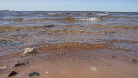 The sandy beach washed by the wave of the sea Vídeo Stock 110589112