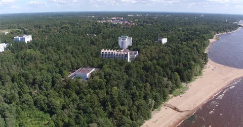 Sandy beach water Gulf of trees Video stock 71386829