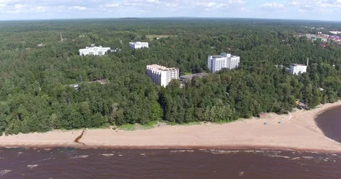 Sandy beach water Gulf of trees Video stock 71387073