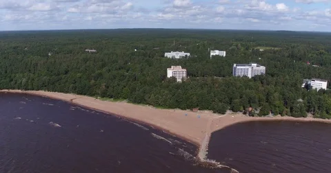 Sandy beach water Gulf of trees Video stock 71387693