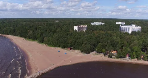 Sandy beach water Gulf of trees Video stock 71387989