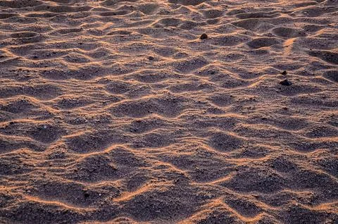 A sandy beach with a wave pattern in the sand Foto stock