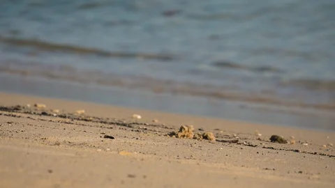 Sandy beach with waves lapping at shore Stock Footage 94403093
