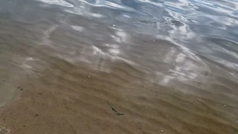 Sandy beach with waves. Recreation at the sea, river Stock Footage 263448274