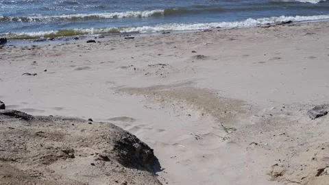 On a sandy beach, waves from the sea. Water. Stock Footage 158985299