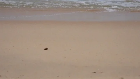 Sandy beach waves washing ashore collection Stock Footage 111257341