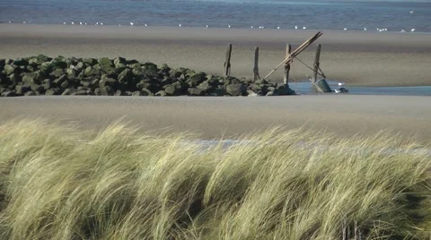Sandy beach waving grasses foreground sea background Stock Footage 47177237