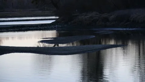 Sandy beaches at the danube river Stock Footage 304729935