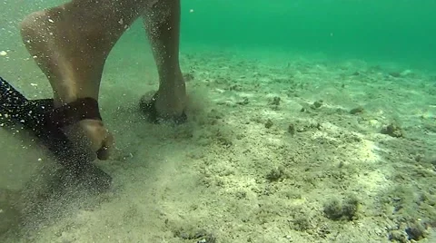 Sandy bottom beach Stock Footage 62940927