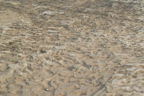 Sandy bottom of a dry river. Patterns in the sand. Stock Photos