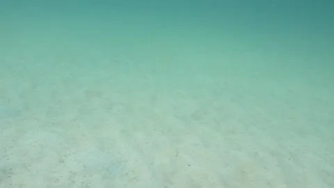 Sandy bottom Stock Footage 283276365