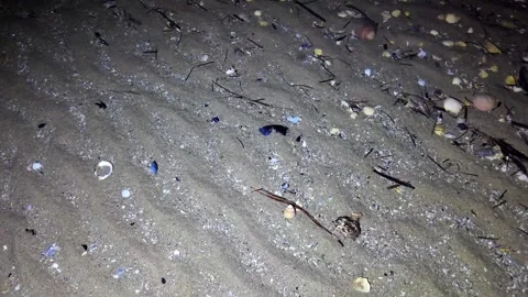 A sandy bottom at night (timelapse) Stock Footage 279726808