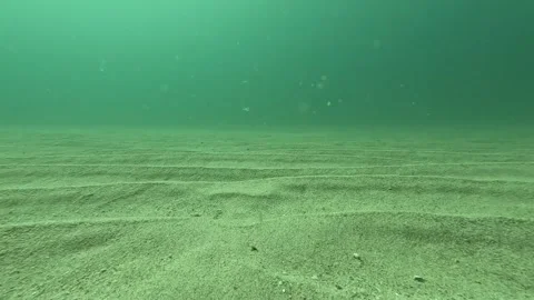 Sandy Bottom of the Ocean Stock Footage 254265687