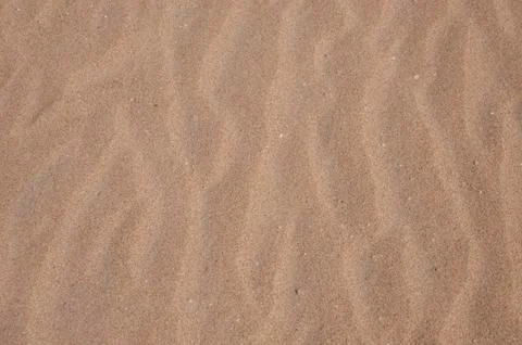 Sandy bottom 写真素材