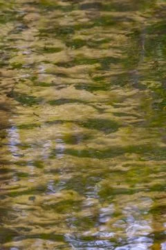 Sandy bottom of stream and reflection in water Stock Photos