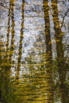 Sandy bottom of stream and reflection in water Stock Photos