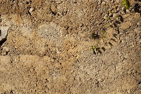 Sandy brown background for the design. Stock Photos