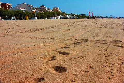 The sandy coast Stock Photos
