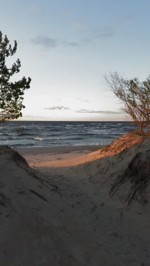 Sandy coastal path between dunes toward windy sea with pine trees and soft Stock Footage 346558633