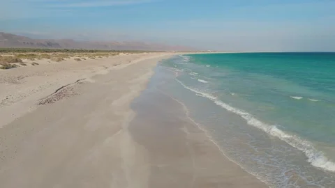 Sandy coastal Wind-shaped dunes with sparse vegetation overlooking blue ocean Stock Footage 323429319