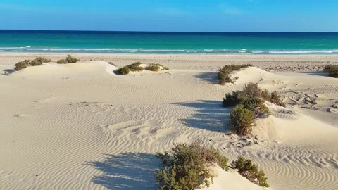 Sandy coastal Wind-shaped dunes with sparse vegetation overlooking blue ocean Stock Footage 323429508