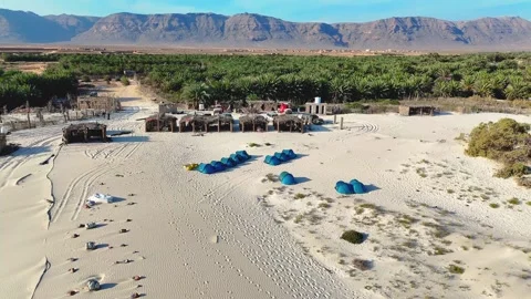 Sandy coastal Wind-shaped dunes with sparse vegetation overlooking blue ocean Stock Footage 323429542