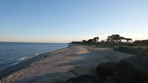 Sandy coastline at East Beach at Werribee South with coastal vegetation Vídeos de archivo 336035225