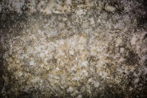 Sandy Concrete Texture Stock Photos