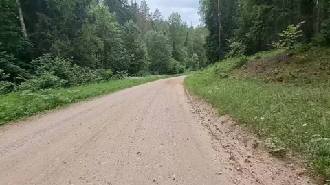 Sandy country forest road. Stock Footage 303563264