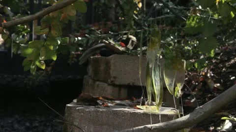 Sandy Damage - Forward Stock Footage 12448105