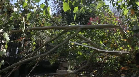 Sandy Damage - Forward Stock Footage 12448236