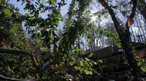 Sandy Damage - Left Stock Footage 12448364