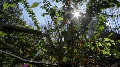 Sandy Damage - Right Stock Footage 12448300