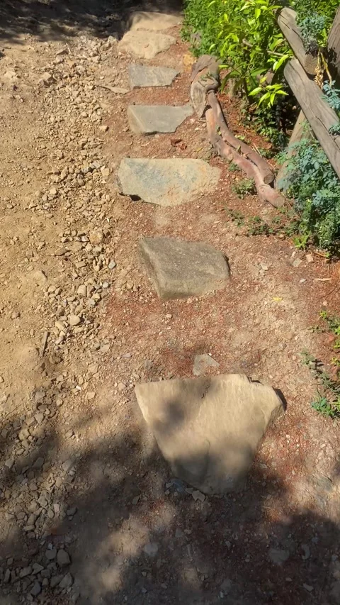 Sandy Descent. A path in the woods. Vertical video  Stock Footage 286858550