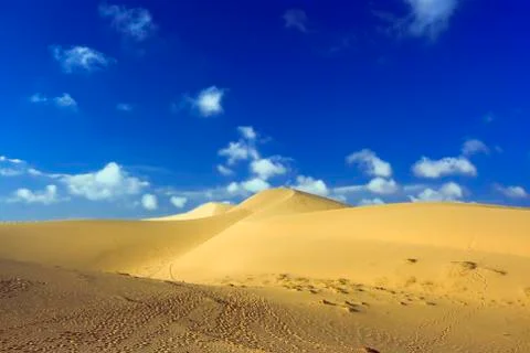 Sandy desert Stock Photos