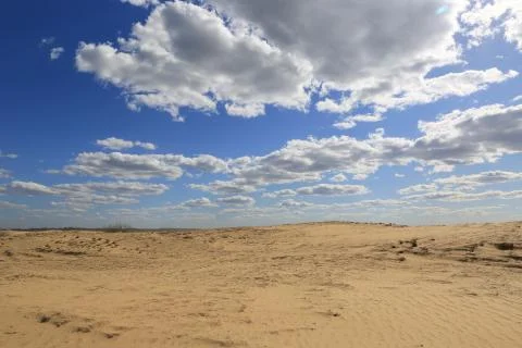 Sandy desert scene Stock Photos