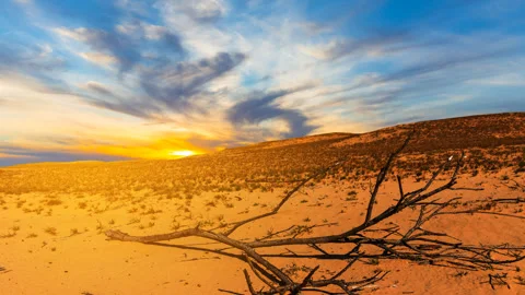 Sandy desert at the sunset time lapse scene Stock Footage 289620279