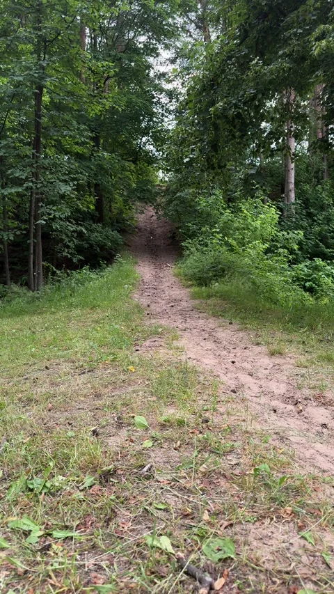 Sandy dirt path leading uphill through dense green forest Видео 338361869