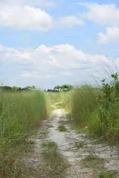 Sandy Dirt Pathway Winding Through Tall Green Grass Fields Under a Bright Bl Stock-Fotos