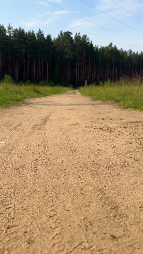 A sandy dirt road leading into a pine forest Stock Footage 336796336