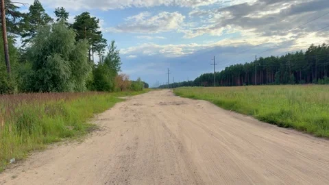 Sandy dirt road running through green fields and pine forest  Stock-Footage 341509974