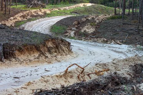 Sandy dirt road winds between trees and hills through the forest Stock Photos