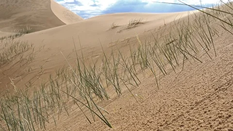 Sandy dune desert Altan Els. Видео 101470383