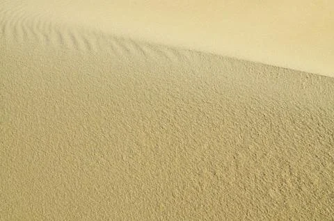 Sandy dune. Natural background Stock Photos