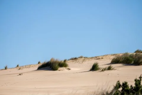 Sandy dune ridge with sparse grass at Guincho Stock Photos