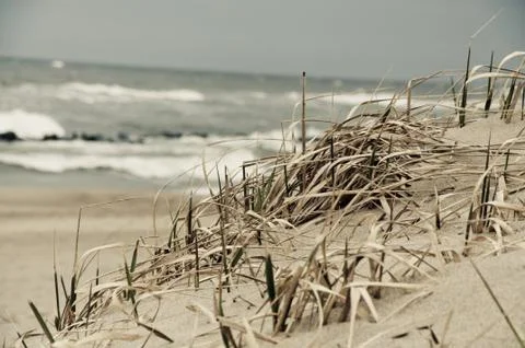 Sandy dune on the seashore Stock Photos