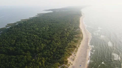 Sandy dunes and green forest on the sea coast. Curonian spit, Russia. Stock-Footage 219962078