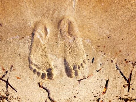 Sandy feet Stock Photos