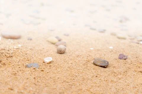 Sandy floor on the beach and shells and stones Stock Photos