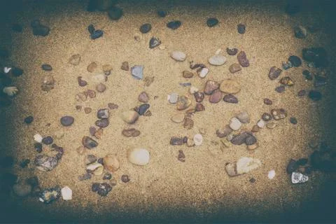Sandy floor on the beach and shells and stones Stock Photos